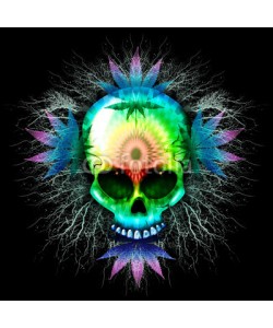 bluedarkat, Marijuana Psychedelic Skull