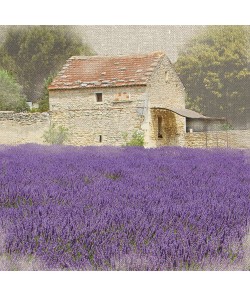 Bret Straehling, Tuscan Lavender