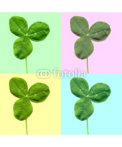 c, Shamrock clover leaf