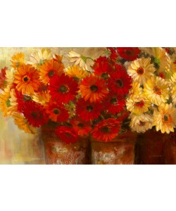 Carol Rowan, Chelsea Gerberas