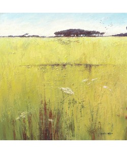 Caroline Atkinson, Fields and Hedgerows