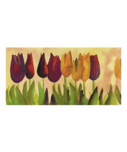 Carpintero Carlos Gómez, Tulipa II