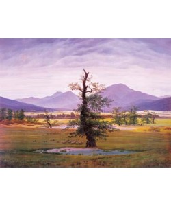 Caspar David Friedrich, Der einsame Baum