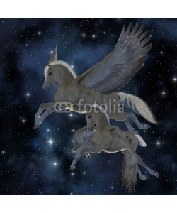 Catmando, Pegasus 04