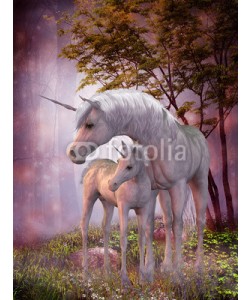 Catmando, Unicorn Mare and Foal
