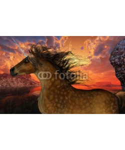 Catmando, Unicorn Sunset