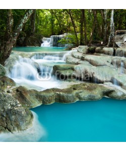 calcassa, Cascade in the Jungle