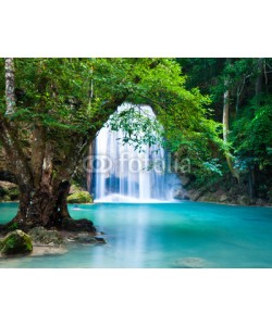 calcassa, Cliff of Waterfall in deep forest