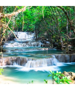 calcassa, Huay Mae Khamin Waterfall, Kanchanaburi Province.