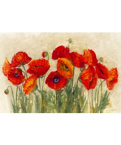 Carol Rowan, Vibrant Poppies