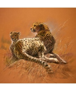 Renato Casaro, Cheetah Mother