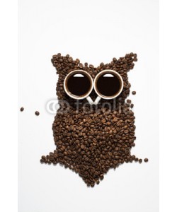 casfotoarda, coffee core owl