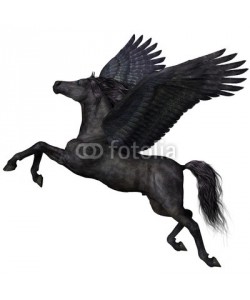 Catmando, Black Pegasus Profile