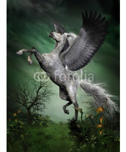 Catmando, Dapple Grey Pegasus