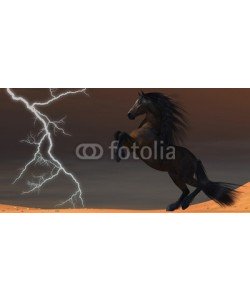 Catmando, Desert Lightning Horse