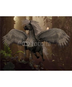 Catmando, Flying Pegasus