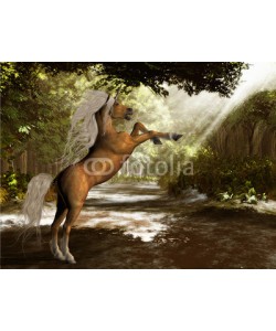 Catmando, Forest Unicorn