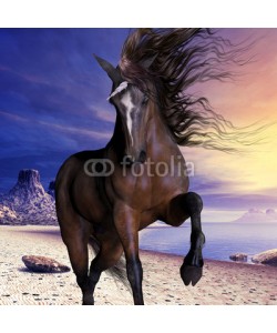 Catmando, Mahogony Bay Unicorn