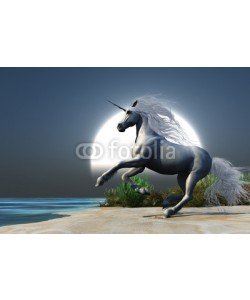 Catmando, Midnight Unicorn