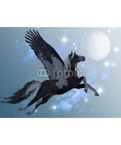 Catmando, Pegasus 03