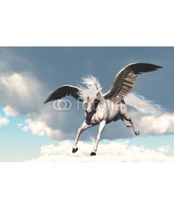 Catmando, PEGASUS