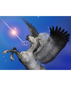 Catmando, Starburst Pegasus