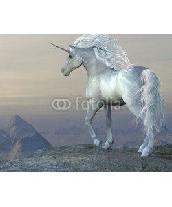 Catmando, Unicorn Bluff