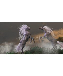Catmando, Unicorn Stallions Fighting