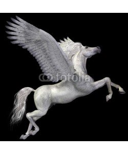 Catmando, White Pegasus Profile