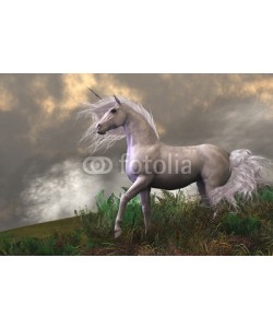 Catmando, White Unicorn Stallion