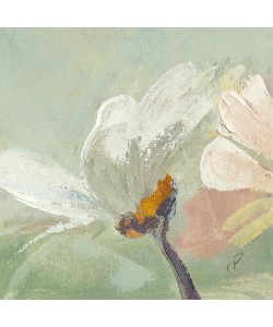 Chantal Parise, Pquerette II