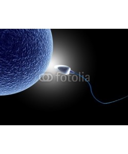 ciroorabona, human sperm