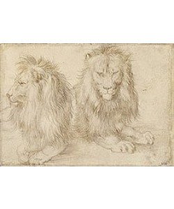 Albrecht Dürer, Zwei liegende Löwen. 1521