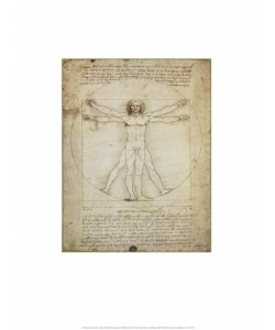 Leonardo da Vinci, Schema Delle Proporzioni
