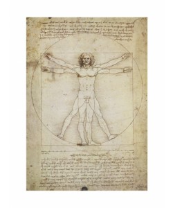 Leonardo da Vinci, Schema Delle Proporzioni