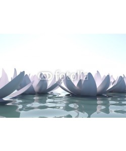 dampoint, Zen loto flowers in water