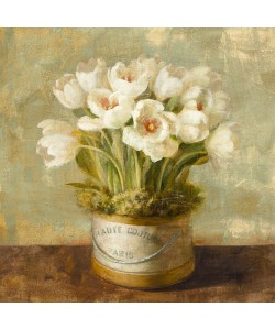 Danhui Nai, Hatbox Tulips