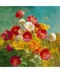 Danhui Nai, Poppies in the Field