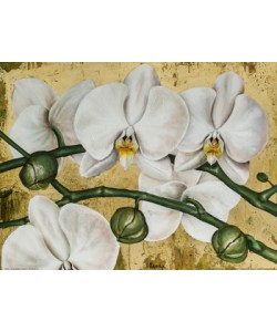 David Sedalia, FLOWERS I