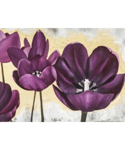 David Sedalia, FLOWERS II