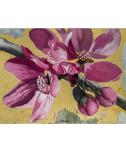 David Sedalia, FLOWERS IV