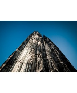 davis, KÃ¶lner Dom