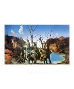 Salvador Dali, Swans Reflecting Elephants