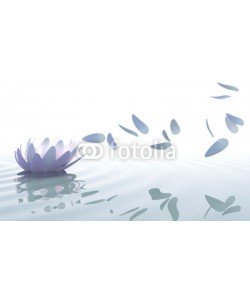 dampoint, Zen lotus with petals moved by wind