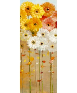 Danhui Nai, Daisies Fall I