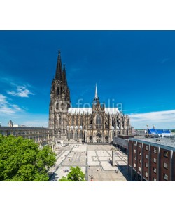 davis, KÃ¶lner Dom im Sommer