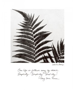 Debra Van Swearingen, Delicate Ferns