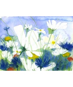 Dieter Hecht, Weisse Cosmea und Kornblumen