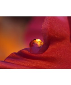 Dagmar Laimgruber , Lebenselixier