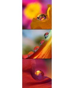 Dagmar Laimgruber, Jeux des Boules II